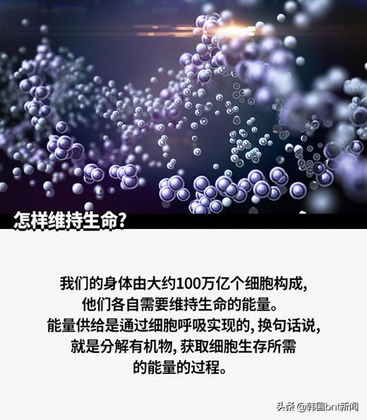 cellreturn美容仪祛痘,cellreturn电子美容仪