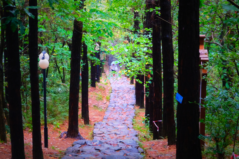 云浮南山森林公园锦鸡,云浮南山森林公园航拍