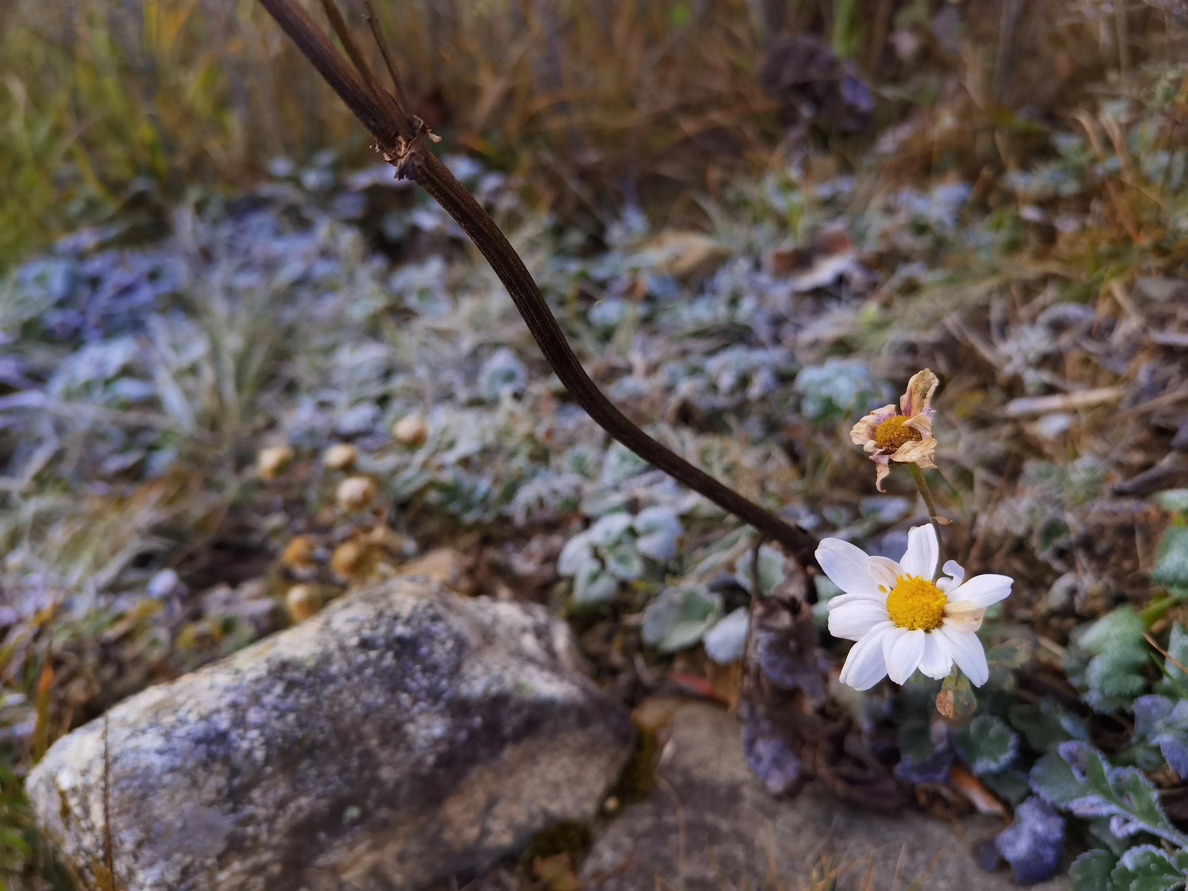 都知夏日驼梁美，秋季呢？阜平花塔村进山带您领略最美的秋日驼梁