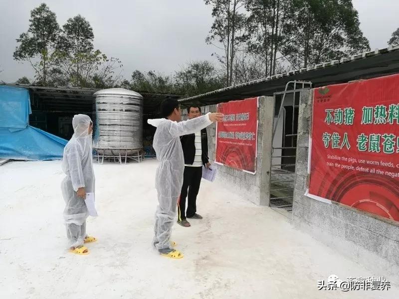 非瘟预防消毒,非瘟防控刻不容缓