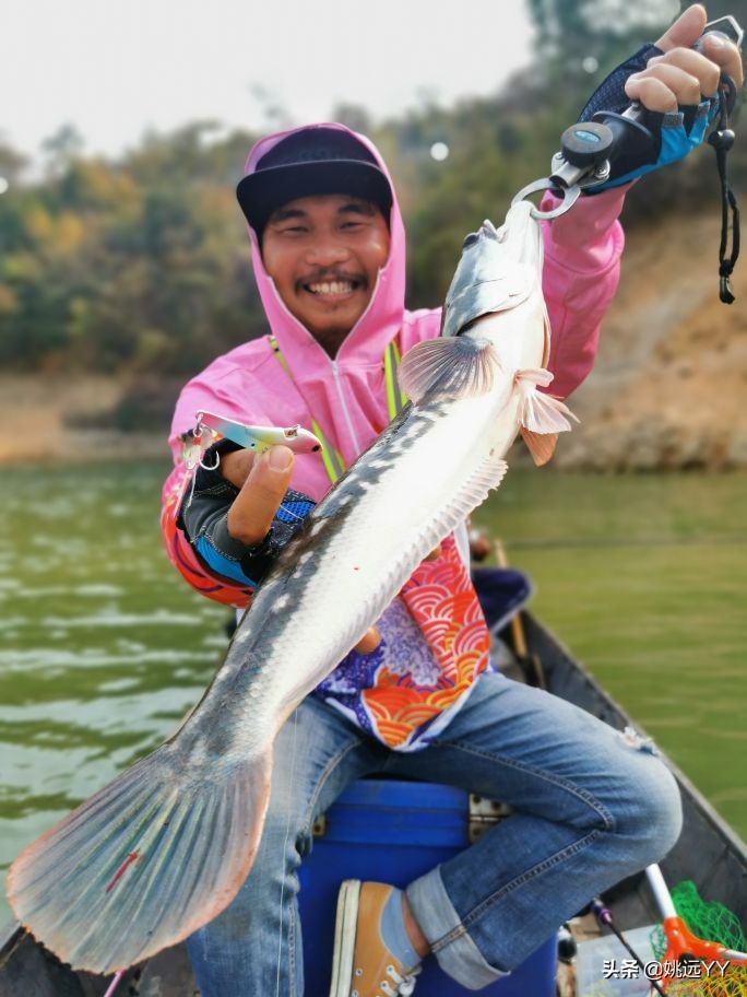 四海钓鱼韩国钓鱼纪录片,四海钓鱼南澳岛