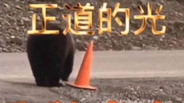 一部温情又引人深思的动画,残忍而又温情的动画片