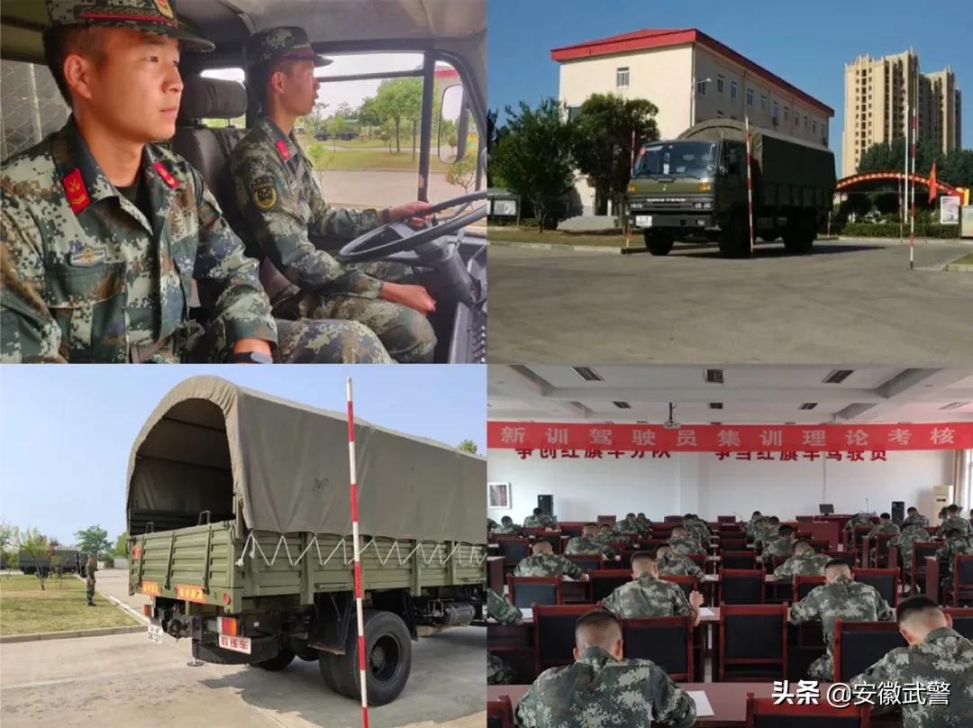 纪实视频,记实记录