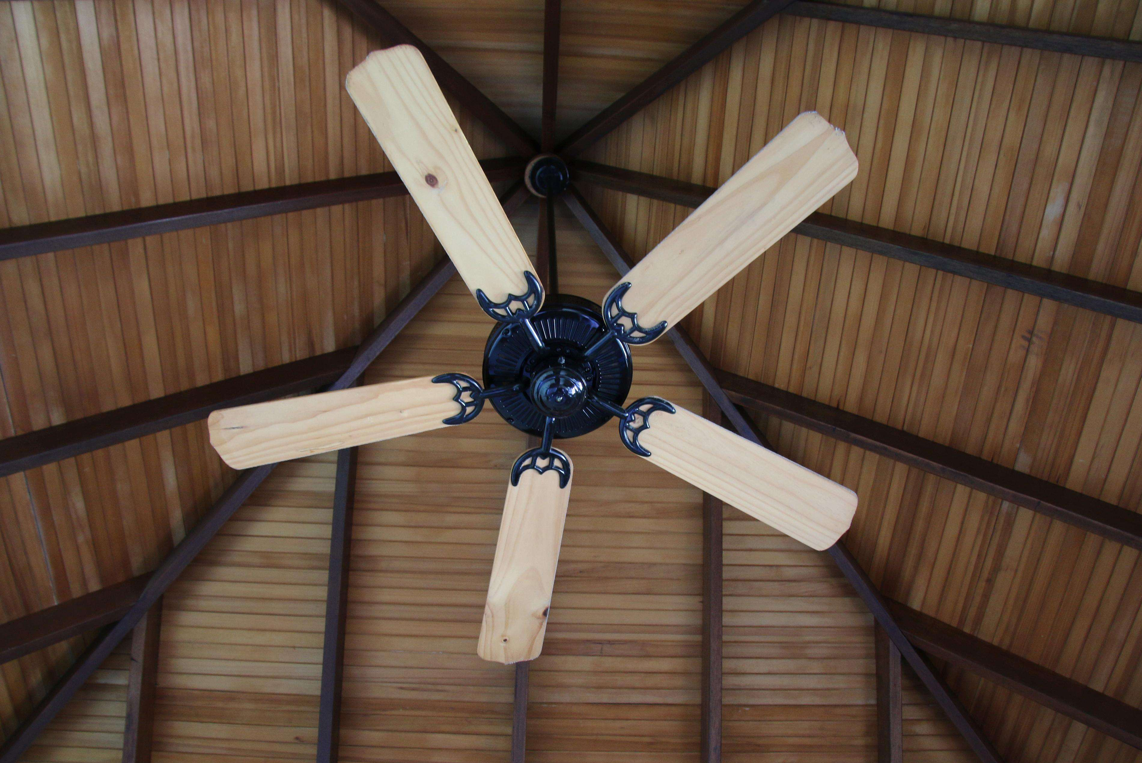 风扇怎么选择家用,家用风扇怎么分好坏