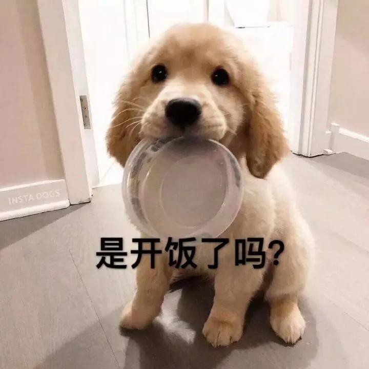 好看的叫女神，年轻的叫小姐姐，像你这种又年轻又好看就叫女朋友