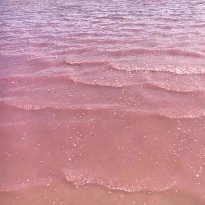 背景图推荐全白,背景图精选好物