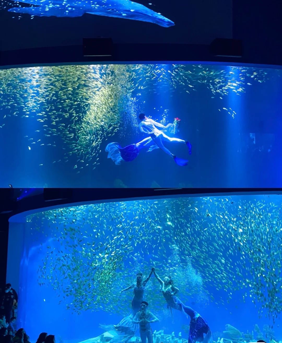 合肥周边亲子自驾游推荐景点,合肥亲子室内一日游攻略