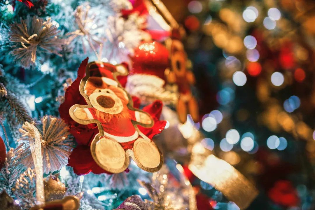 上海哪里圣诞树最好,上海千树圣诞树