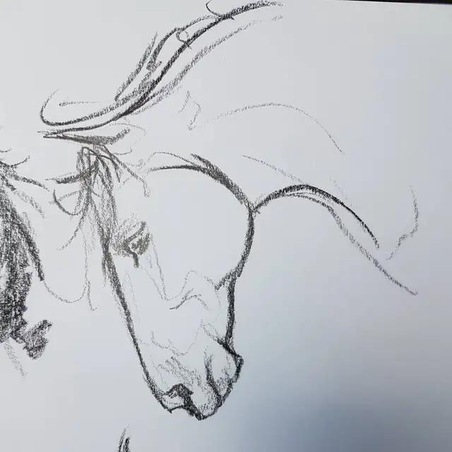 马怎么画简单图画,马怎么画更真实