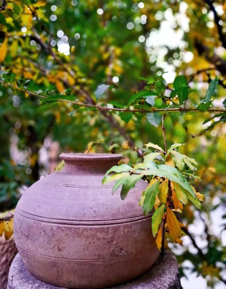 漫随天外云卷云舒免费,漫随天外云卷云舒抖音