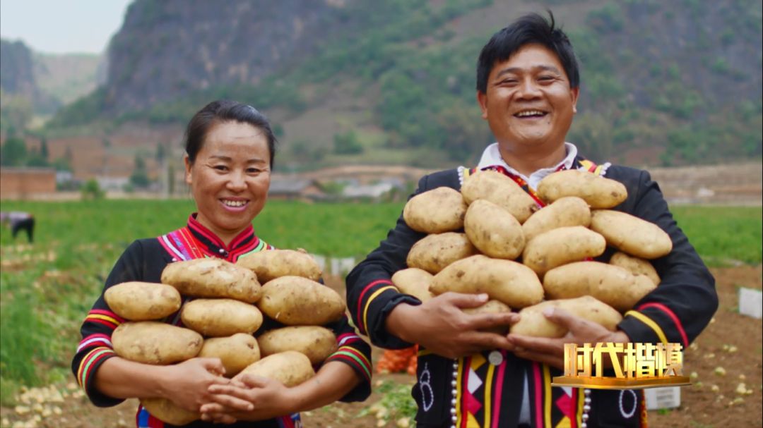 人民大会堂推销土豆，收1500个农民学生，10亿专利无偿送出，64岁的农民院士朱有勇火了！