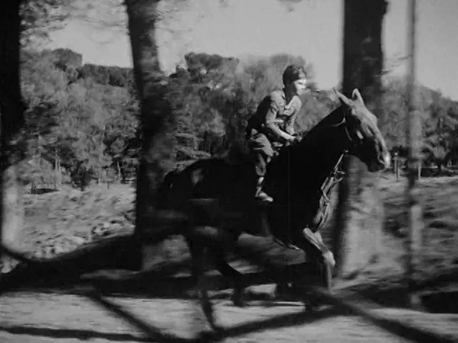 无马不自由！22部“有马”的电影，请盘住