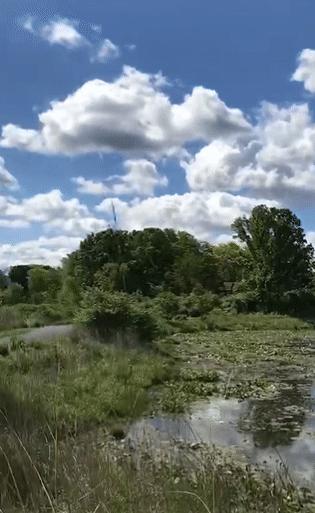 小孩子视力下降怎么可以恢复,儿童视力恢复最佳方法3-6岁