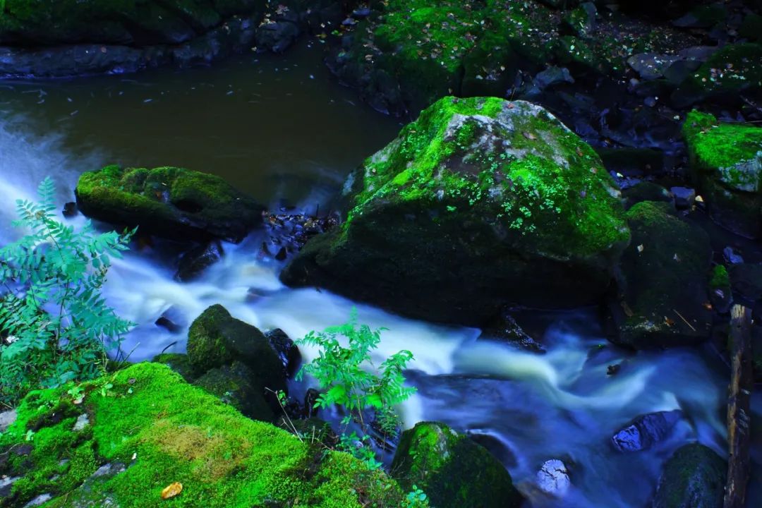 年平均气温25度左右的城市,年平均气温18度城市