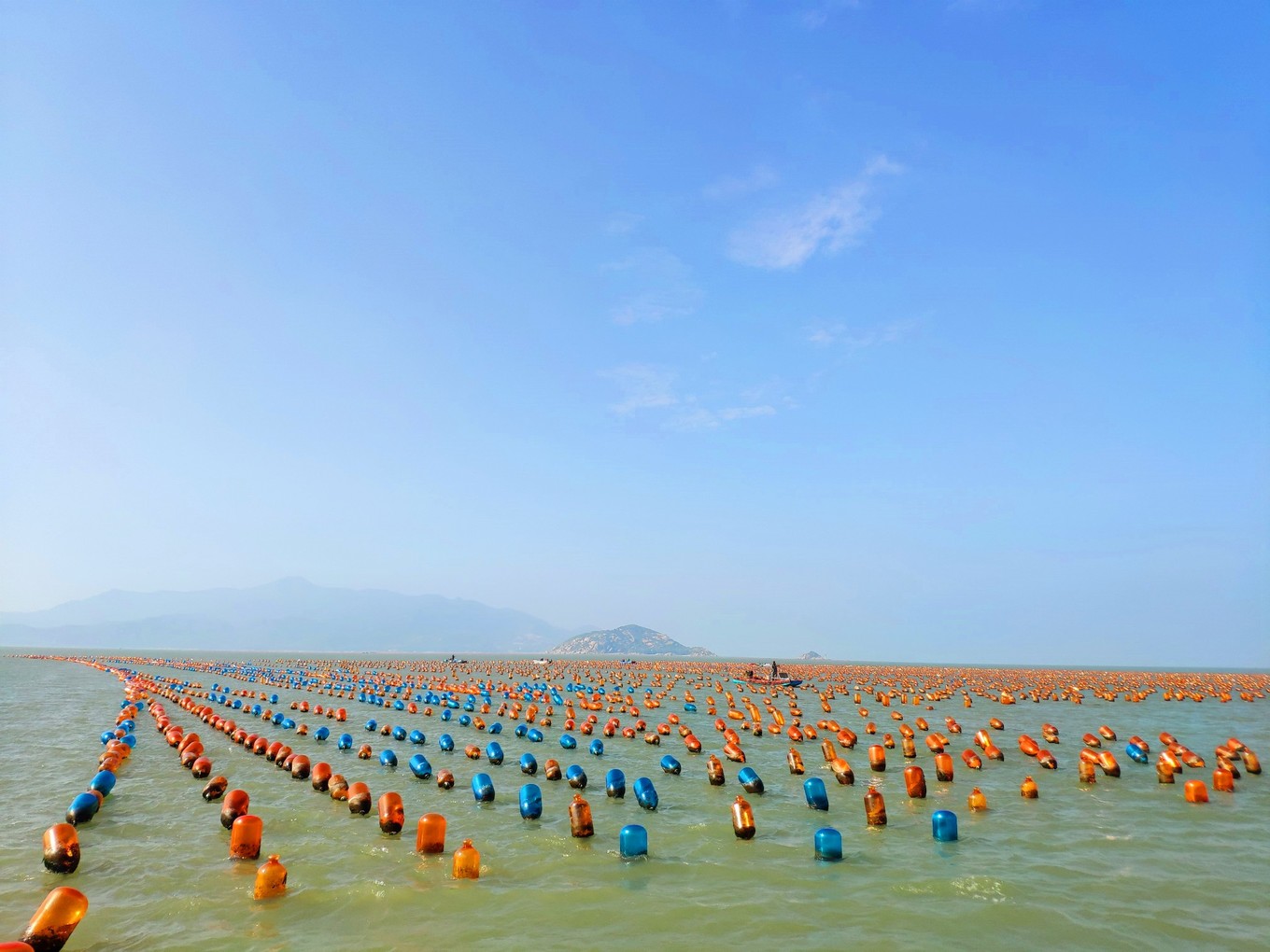 南澳岛看海完整版,南澳岛看海解读