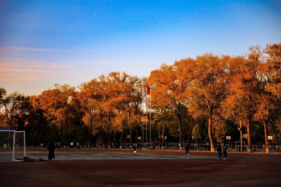辽宁工程技术大学辽宁省分数线,辽宁工程技术大学在辽宁省排名