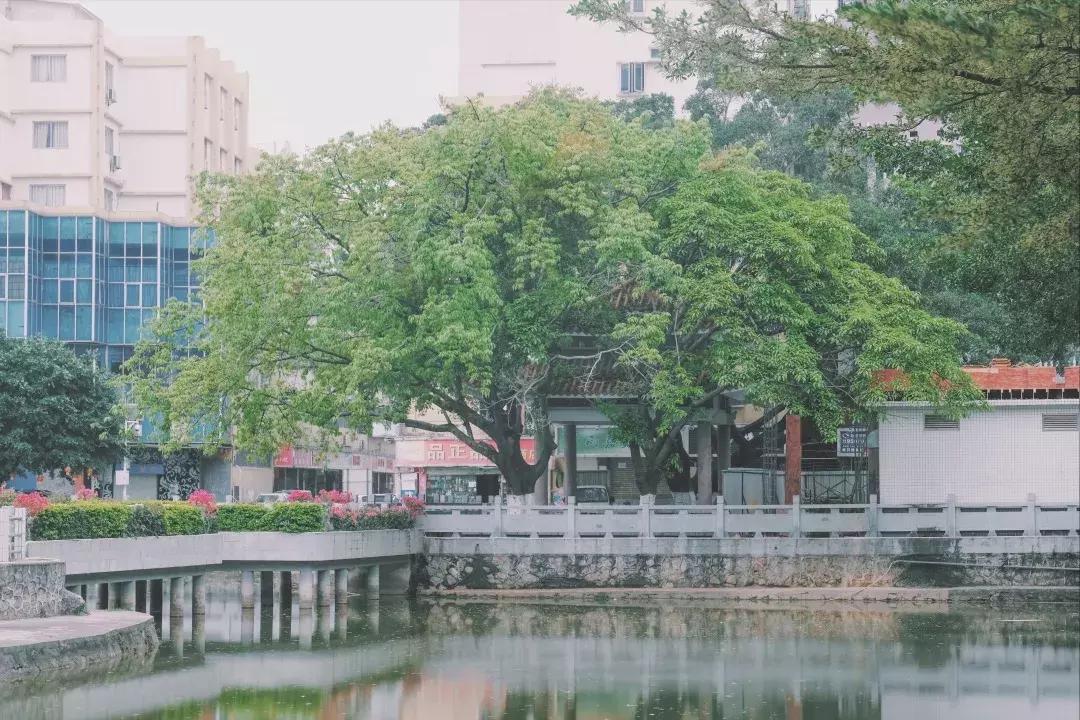 每个地方都有个沙井,好多地方叫沙井