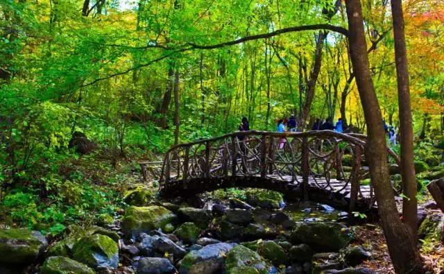 哈尔滨自驾三亚边走边玩最佳路线,哈尔滨到漠河自驾旅游攻略10天