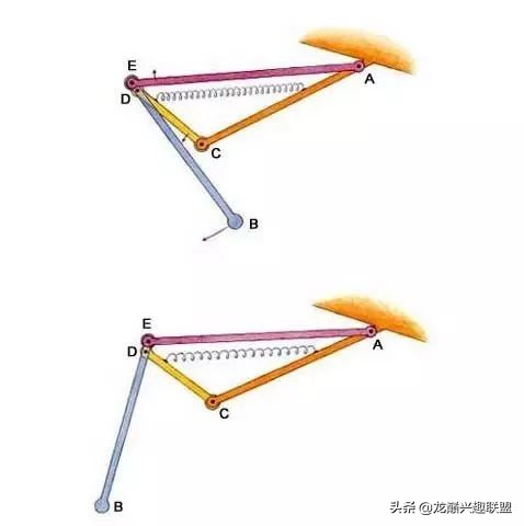 皮皮虾真的那么神奇吗,皮皮虾真的有那么恐怖吗