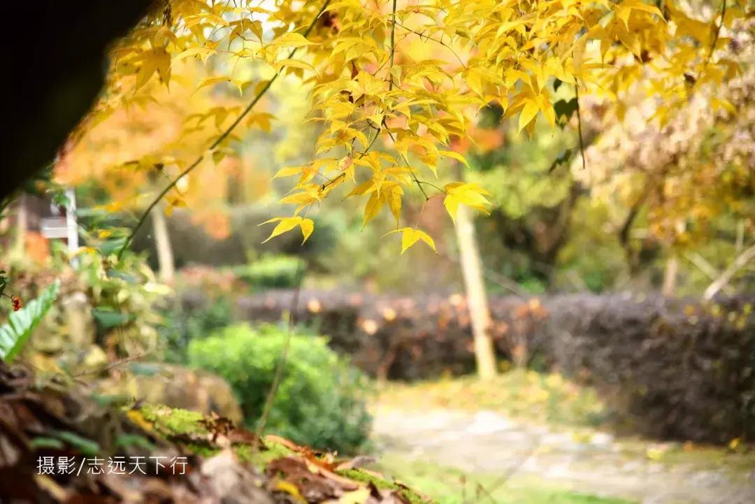 悠然三明：梅列瑞云山为佛，葡萄美酒配熏鸭