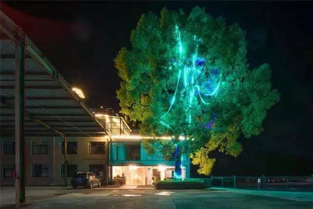 “blingbling”,黄得可爱的橘子可以从8月摘到来年2月!淳安中联村:临湖民宿处女地,甜甜蜜蜜看湖景