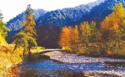 川西彩林自驾风景,川西三大草原绝美自驾游