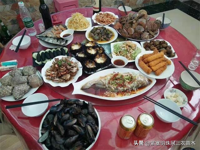 爱上一座城爱上一个人短视频,长岛大壮渔家民宿团购