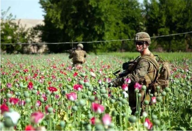 贩卖毒品的金三角在中国哪个地区,毒品