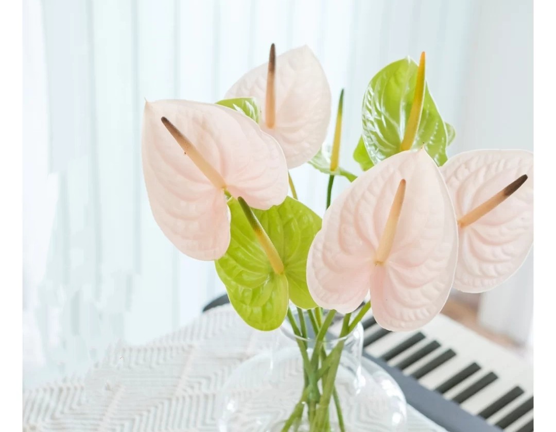 蓝色花花花语,花语是我喜欢你的花