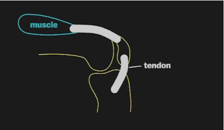膝盖内侧疼打封闭可以吗,膝盖痛封闭用什么药