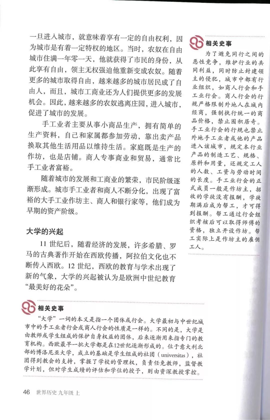 部编教材九年级历史下册电子课本,历史课本九年级第二单元pdf