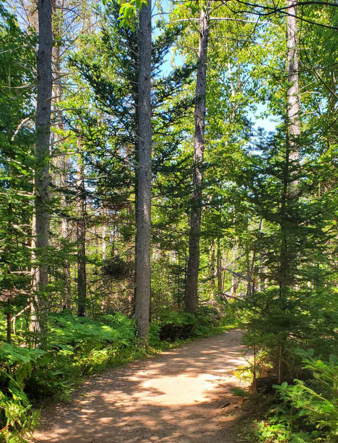 爱德华王子岛旅游,爱德华王子岛避暑之旅