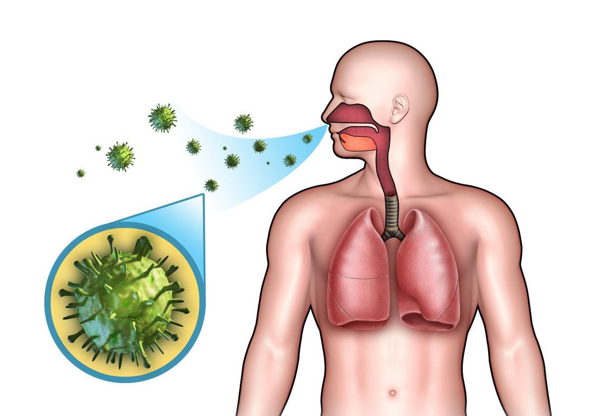 孩子感冒咳嗽饮食上需要注意什么,感冒咳嗽饮食方面注意事项
