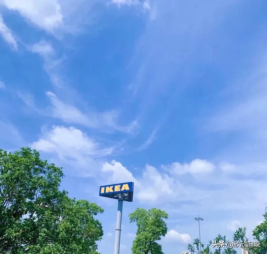 依赖手机,依赖手机会产生哪些不利影响