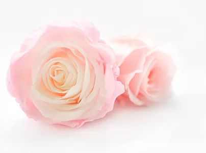 李雯年轻视频,李雯年轻综艺视频