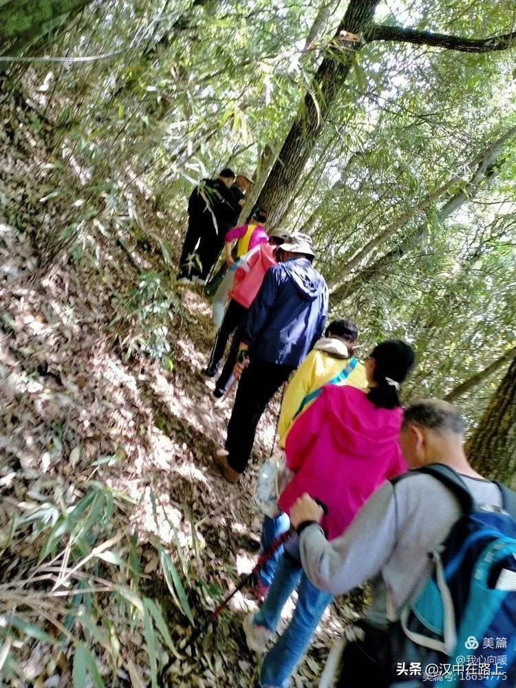 汉中圈子崖天坑,汉中镇巴圈子崖天坑旅游攻略