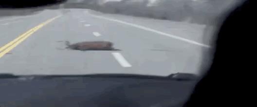 火了十年依旧顶流,火了10年的电视剧