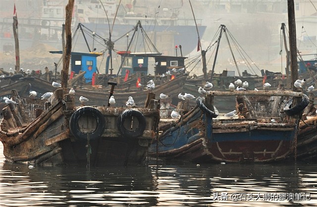 青岛：“甜晒”带来的神奇鲜香，是大海馈赠给离家游子的一抹乡愁