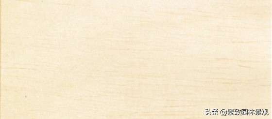 木纹最好看的木材图片,各种木材纹理图片与名称