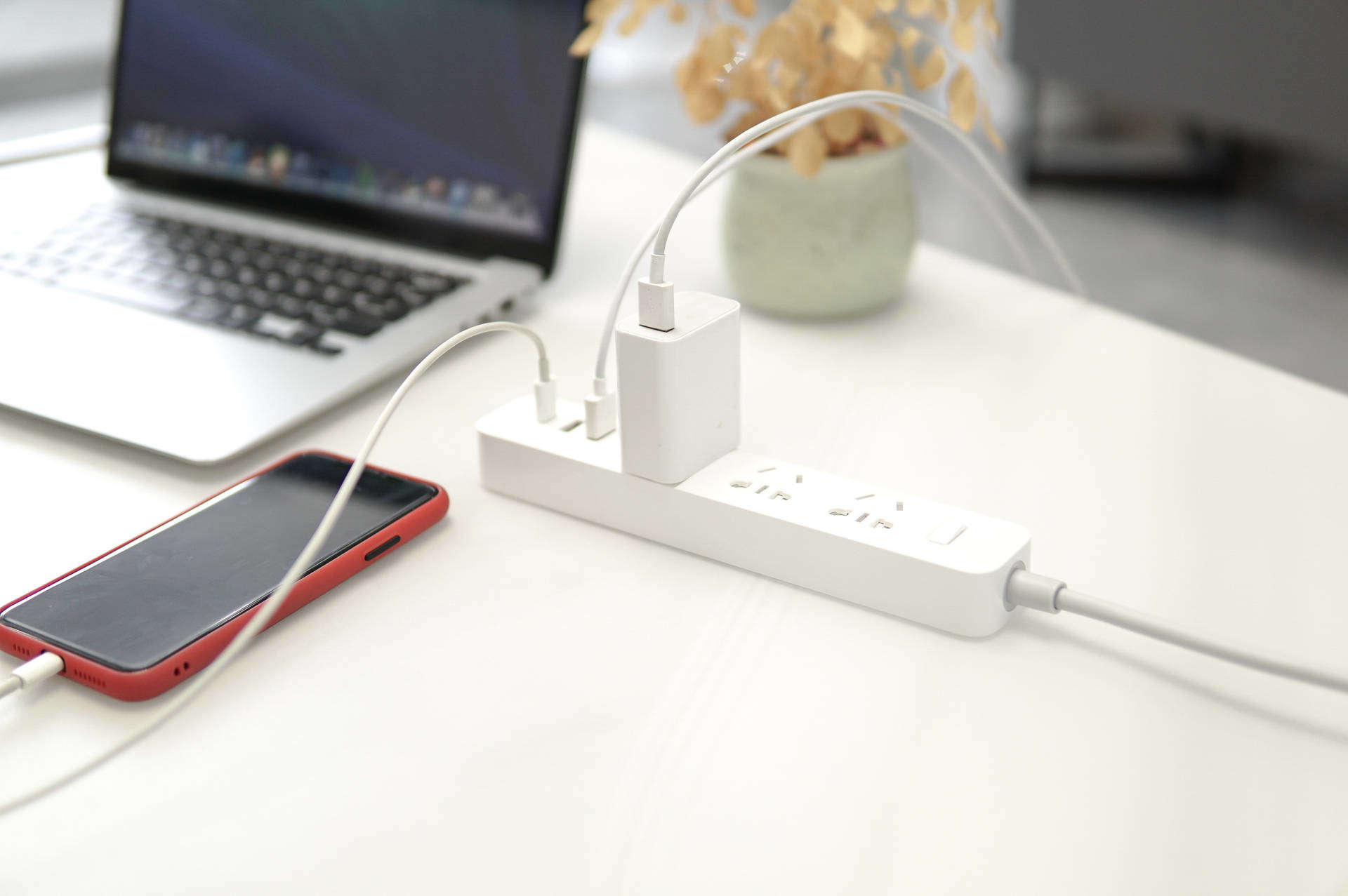 z涓栦唬鍏ヨ亴,z涓栦唬鍏ヨ亴娲诲姩