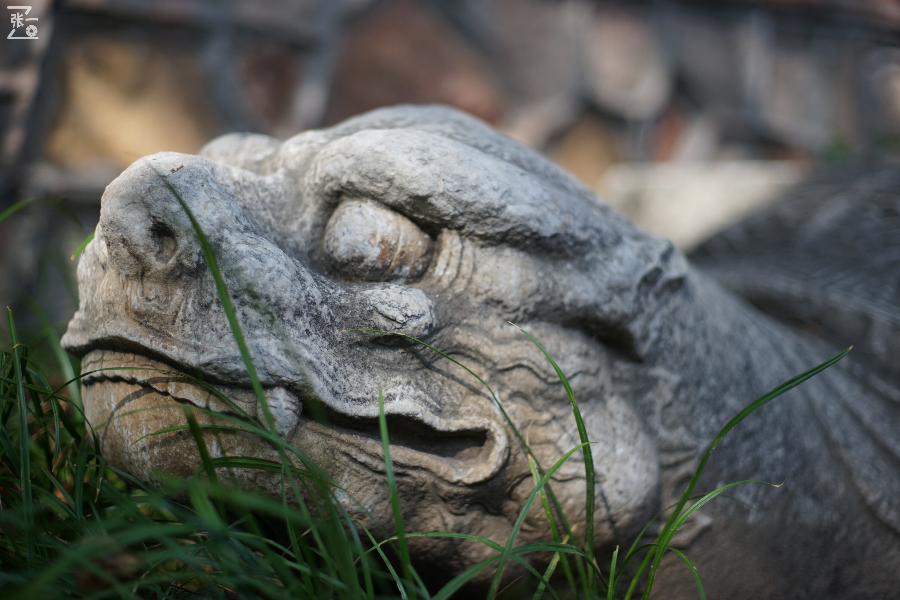 宾得老镜头k系列,老北京镜头