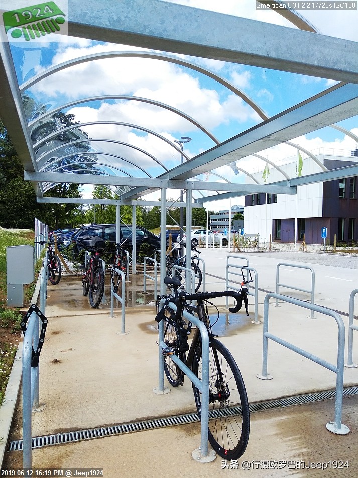 性价比最高的几款入门自行车,最具性价比的入门级自行车