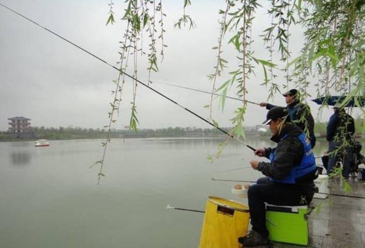 野外钓鱼怎样快速找到鱼窝鱼道,野外钓鱼如何选择窝料