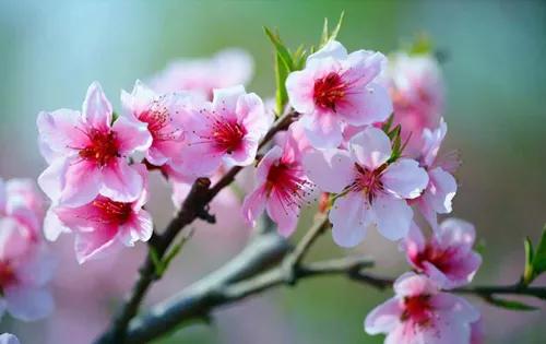 45岁的姐姐给我设圈套，想让28岁的我做她男朋友，我断然拒绝了