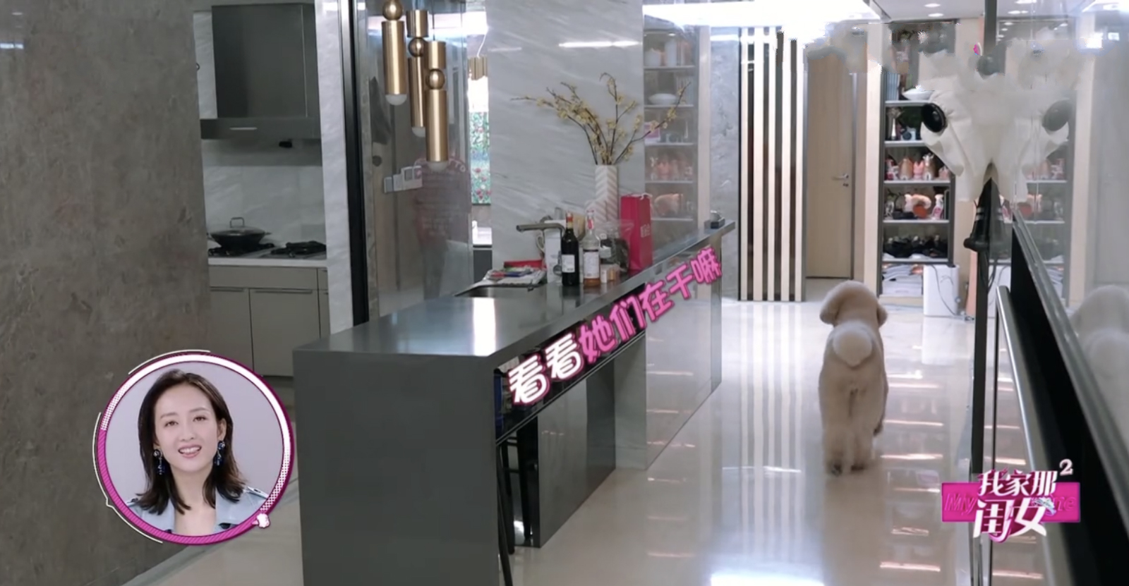 林允辟谣与王大陆,林允一家到底有多喜欢王大陆