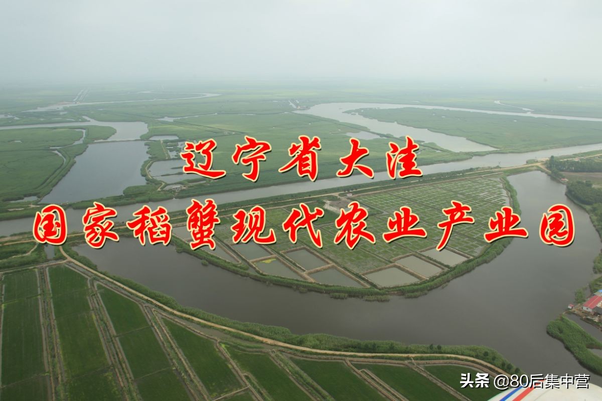 蟹稻共生米和普通大米的区别,蟹稻香大米