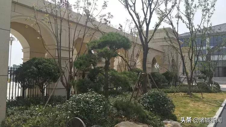 诸城市学校建设,诸城即将建的高中