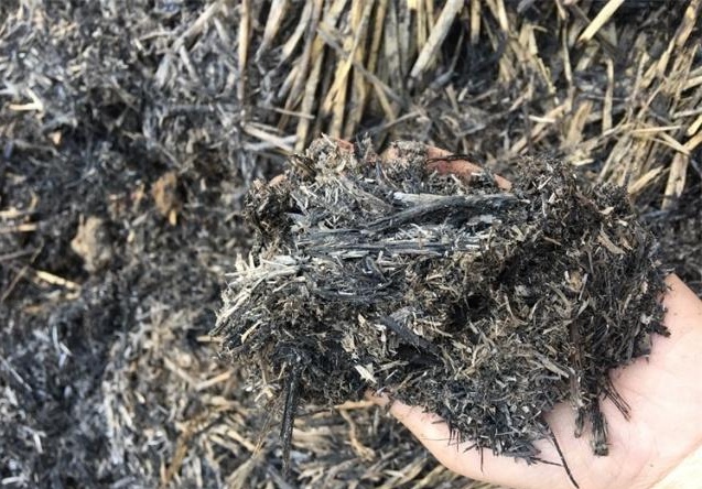 绿萝怎么修剪才能长成瀑布,绿萝浇水时加点它轻松养成绿瀑布