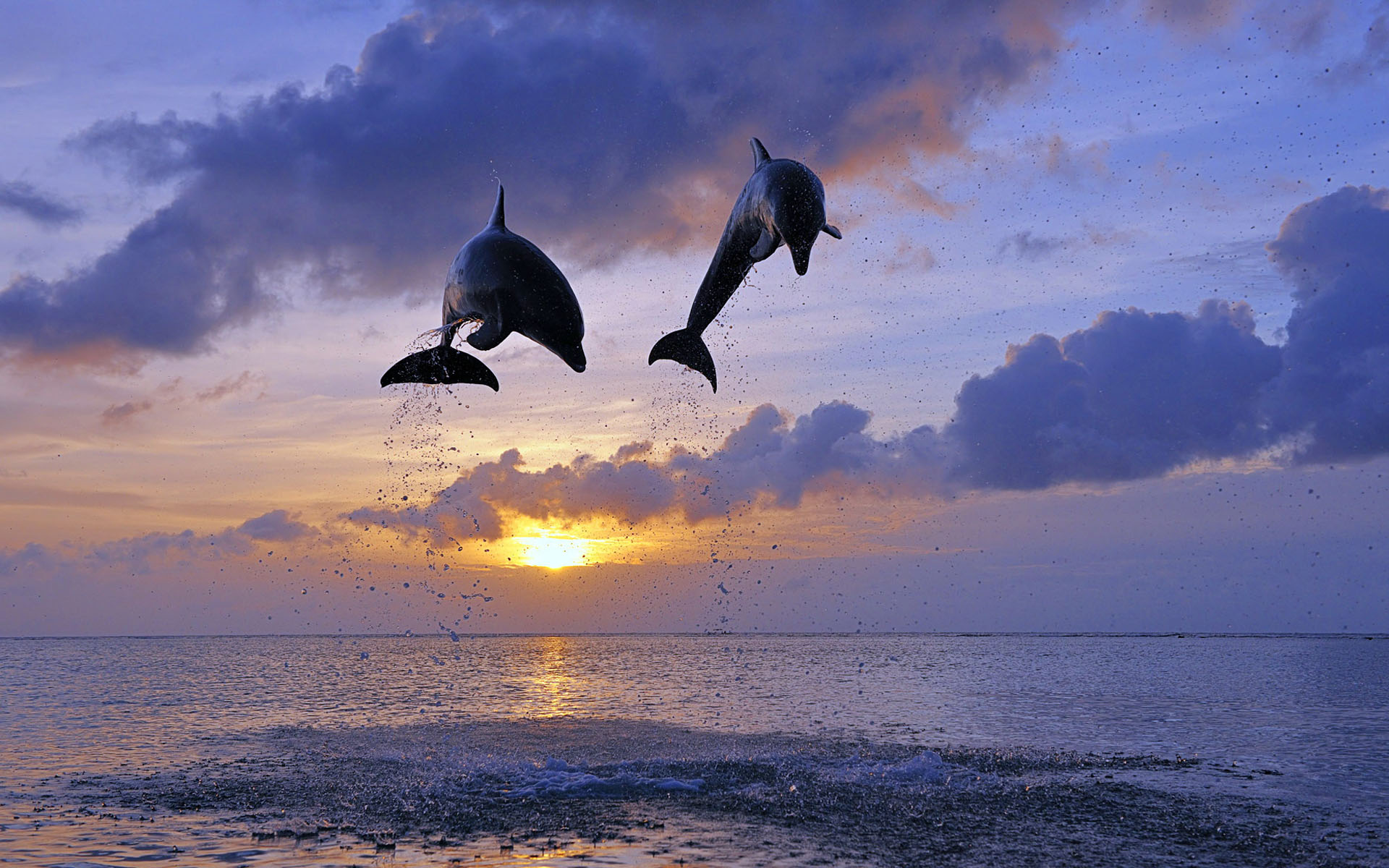 你的壁纸该换了4k超清,你的壁纸该换了图片