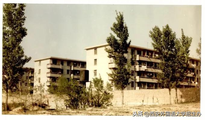 西安外国语大学70年校庆回放,西安外国语大学现状